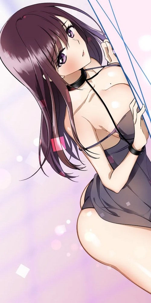 钢之炼金术师 - 兄弟寻找贤者之石